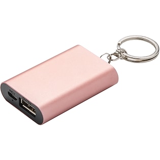 Varavirtalähde Atlanta, 1.000 mAh