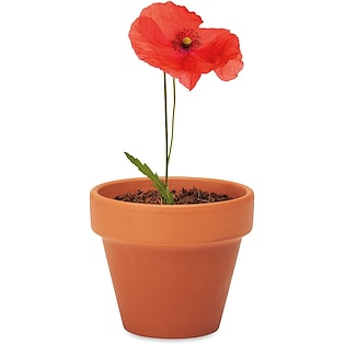 Kasvi Red Poppy