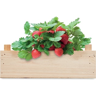 Siemenpussi Strawberry