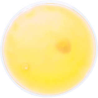 Lämpöpakkaus Bisbee