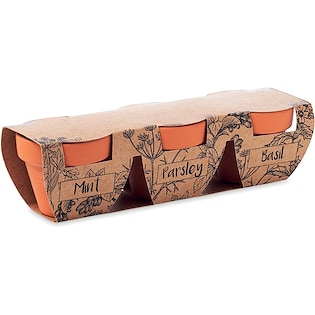 Ruukkukasvi Fairfield