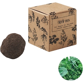 Siemenpallo Clearville