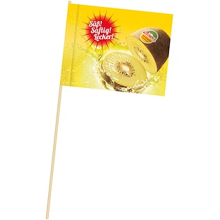 Paperilippu Focus, 210 x 150 mm