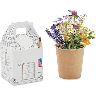 Istutussetti Cillian