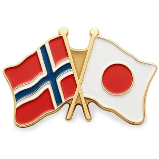 Pinssi Double Flag