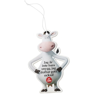 Ilmanraikastin Special