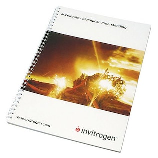 Spiraalilehtiö Yale A4