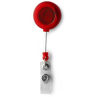 Hissilipunpidike Kiwi